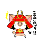 武士ねこ（個別スタンプ：20）