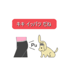 ダジャイヌ（個別スタンプ：1）