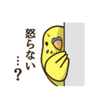 セキセイインコだらけ3（個別スタンプ：26）