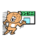 課金猫（個別スタンプ：7）