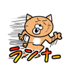 課金猫（個別スタンプ：11）