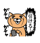 課金猫（個別スタンプ：29）