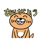 課金猫（個別スタンプ：38）