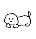 Abu the Maltese（個別スタンプ：1）