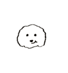 Abu the Maltese（個別スタンプ：16）