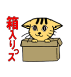 タイガーキャット2（個別スタンプ：25）