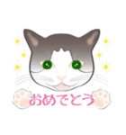 白黒猫にゃん（個別スタンプ：9）