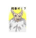 猫博士の見解（個別スタンプ：25）