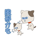 こここねっこ（個別スタンプ：37）