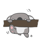 There, There, Koala（個別スタンプ：12）