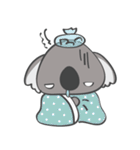 There, There, Koala（個別スタンプ：26）