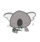 There, There, Koala（個別スタンプ：37）