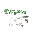 基本中のキホン Cat version（個別スタンプ：34）