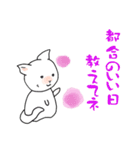 基本中のキホン Cat version（個別スタンプ：36）