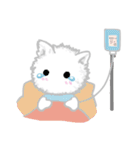 Fuwa Fuwa : Fluffy cat（個別スタンプ：24）