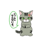 猫ですが何か？（個別スタンプ：4）