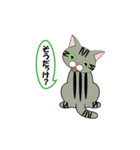 猫ですが何か？（個別スタンプ：19）