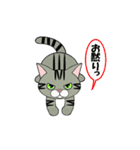 猫ですが何か？（個別スタンプ：26）