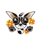 Goggle-eyed Chihuahua（個別スタンプ：4）