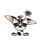 Goggle-eyed Chihuahua（個別スタンプ：6）