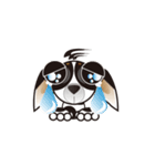 Goggle-eyed Chihuahua（個別スタンプ：7）