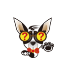 Goggle-eyed Chihuahua（個別スタンプ：15）