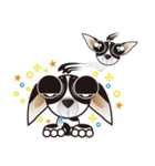 Goggle-eyed Chihuahua（個別スタンプ：16）