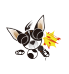 Goggle-eyed Chihuahua（個別スタンプ：30）