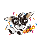 Goggle-eyed Chihuahua（個別スタンプ：33）