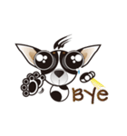 Goggle-eyed Chihuahua（個別スタンプ：34）