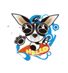 Goggle-eyed Chihuahua（個別スタンプ：40）