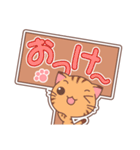 パネにゃこ（個別スタンプ：5）