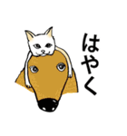 猫の惑星（個別スタンプ：11）