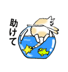 猫の惑星（個別スタンプ：13）