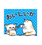 猫の惑星（個別スタンプ：18）