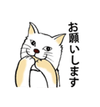 猫の惑星（個別スタンプ：19）