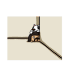 Panda＆Tony's daily（個別スタンプ：24）