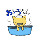 うさぎとねこのながらスタンプ（個別スタンプ：37）