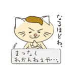 前髪の生えたねこ（個別スタンプ：30）