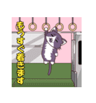 困り猫ブーツのメッセージ（個別スタンプ：25）