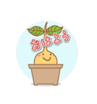 Happy Plant Pino 2（個別スタンプ：1）