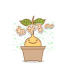 Happy Plant Pino 2（個別スタンプ：11）