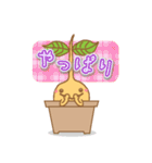 Happy Plant Pino 2（個別スタンプ：12）