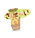 Happy Plant Pino 2（個別スタンプ：23）