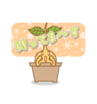 Happy Plant Pino 2（個別スタンプ：31）