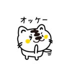 ねこ季節のきほんセット（個別スタンプ：36）