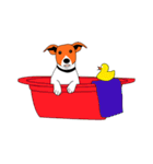 Beagle（個別スタンプ：22）