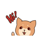 Chibi Shiba Kun（個別スタンプ：1）