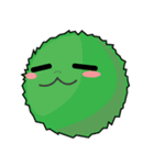 Marimo Luck（個別スタンプ：2）