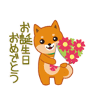 柴犬「ムサシ」誕生日＆年中行事スタンプ（個別スタンプ：4）